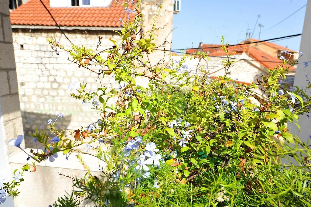 Apartman Branka 스플리트 크로아티아